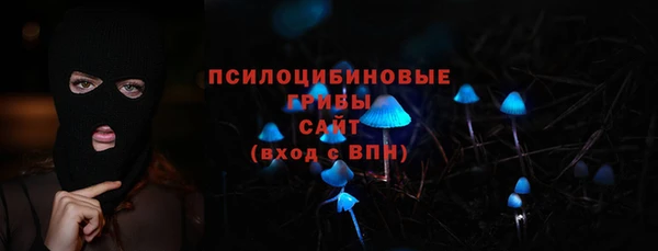 сатива Арсеньев